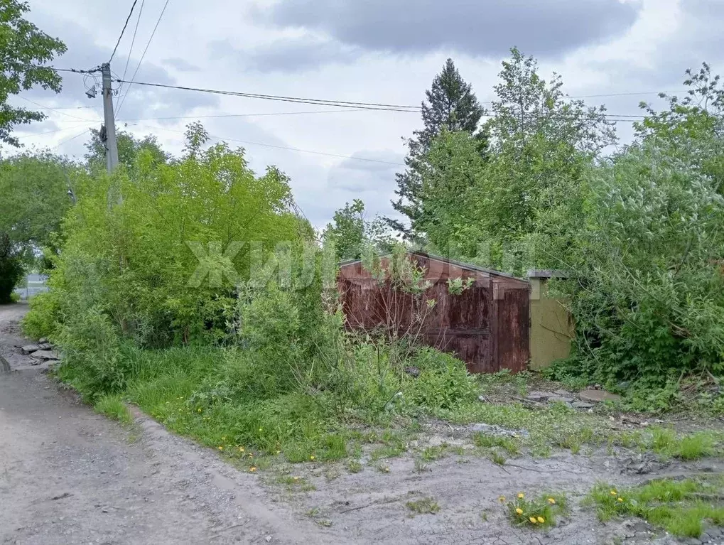 Участок в Новосибирская область, Новосибирск Чернореченская ул., 7 ... - Фото 0