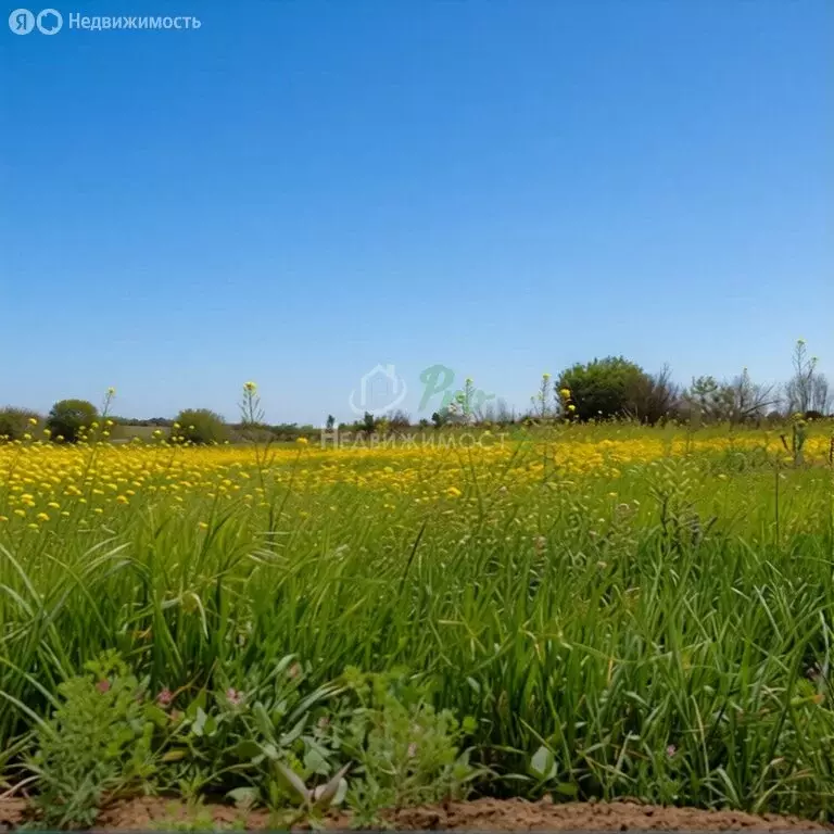 Участок в Ейск, улица Воронцова (6 м) - Фото 1