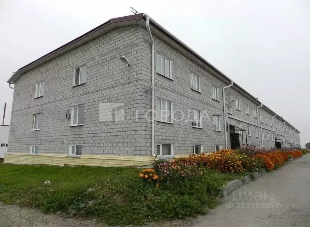 Студия Новосибирская область, Колывань рп ул. Г. Гололобовой, 4 (32.0 ... - Фото 1