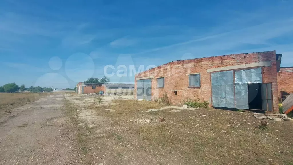 Продается ферма, г. Егорьевск - Фото 1