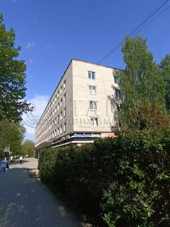 1-к кв. Ленинградская область, Приозерск ул. Калинина, 25 (30.2 м) - Фото 0