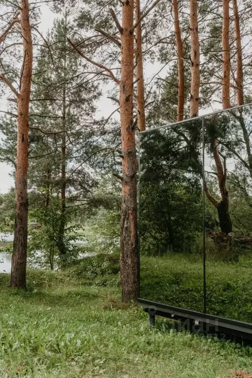 Дом в Ярославская область, Некрасовский муниципальный округ, пос. ... - Фото 1