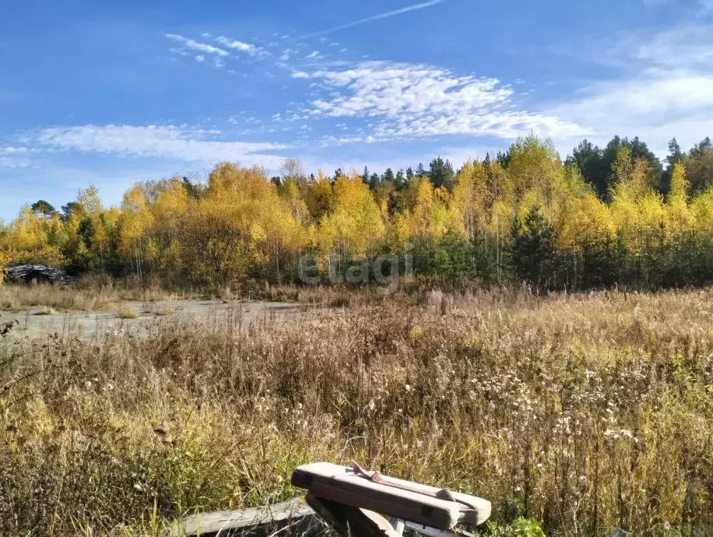 Участок в Свердловская область, Нижняя Салда ул. Луначарского (16.4 ... - Фото 1