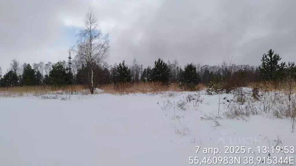 Участок в Московская область, Орехово-Зуевский городской округ, д. ... - Фото 1