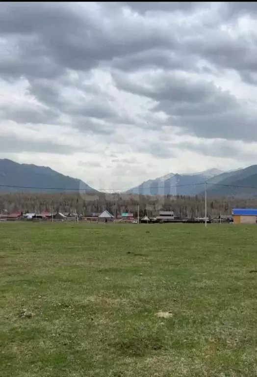 Участок в Алтай, Усть-Коксинский район, с. Тюнгур пер. Светлый, 12 ... - Фото 1