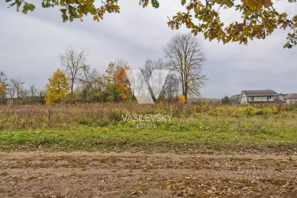 Участок в Калужская область, Таруса  (25.0 сот.) - Фото 2