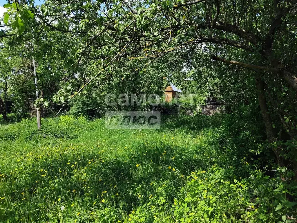 Участок в Москва д. Расторопово, Дубрава СНТ, 10 (6.5 сот.) - Фото 0
