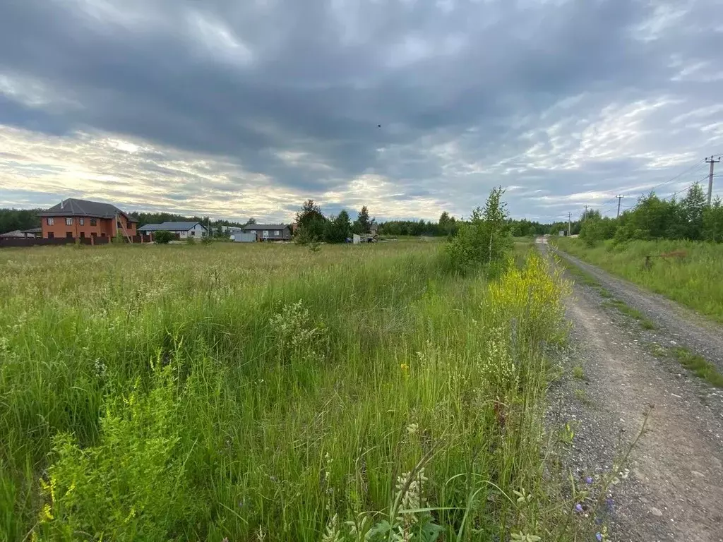 Участок в Нижегородская область, Кстовский муниципальный округ, д. ... - Фото 1