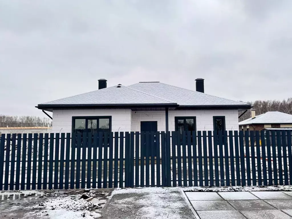 Дом в Омская область, Омский район, с. Пушкино ул. Ленского (105 м) - Фото 1