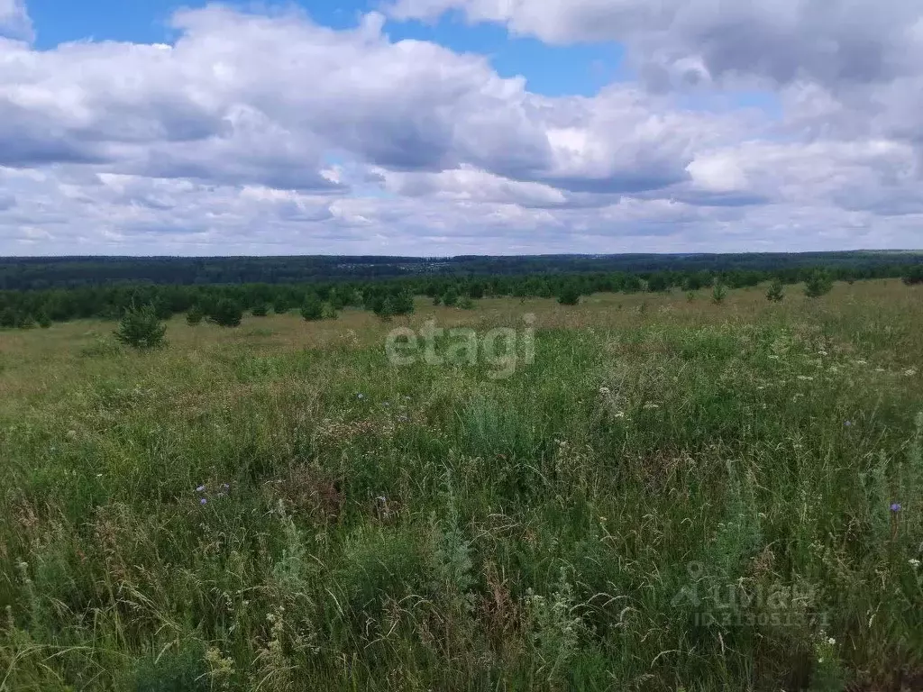 Участок в Удмуртия, Завьяловский район, д. Каменное ул. 3-я Весенняя ... - Фото 0