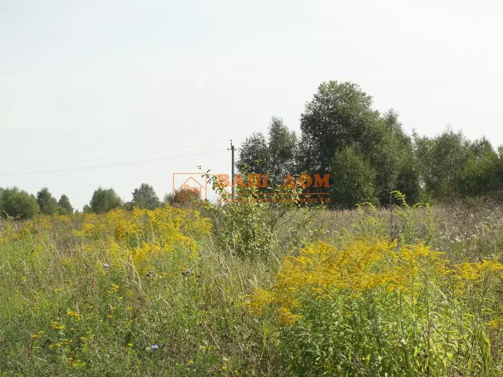 Участок в Тульская область, Тула городской округ, д. Ефимово  (15.0 ... - Фото 1