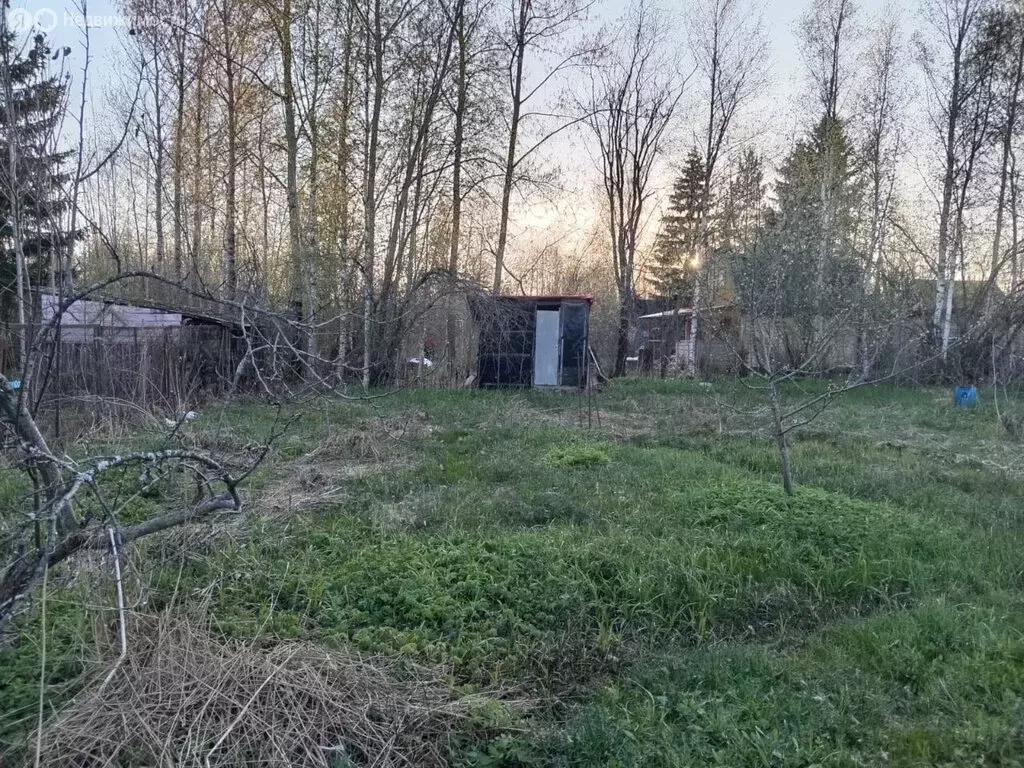 Участок в Кисельнинское сельское поселение, садоводческий массив ... - Фото 0