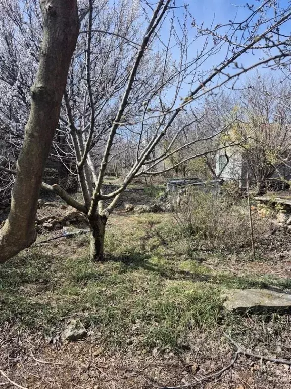 Участок в Севастополь Гидронавт садоводческое товарищество, 216 (4.1 ... - Фото 1