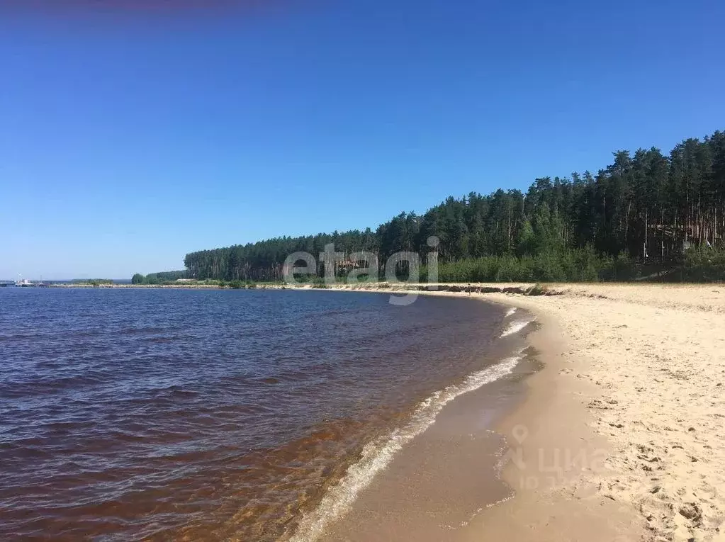 Участок в Нижегородская область, Городецкий муниципальный округ, ... - Фото 1