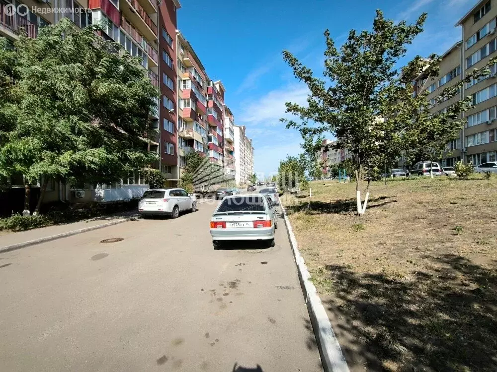 Квартира-студия: село Новая Усмань, Ростовская улица, 4Б/4 (19.4 м) - Фото 1