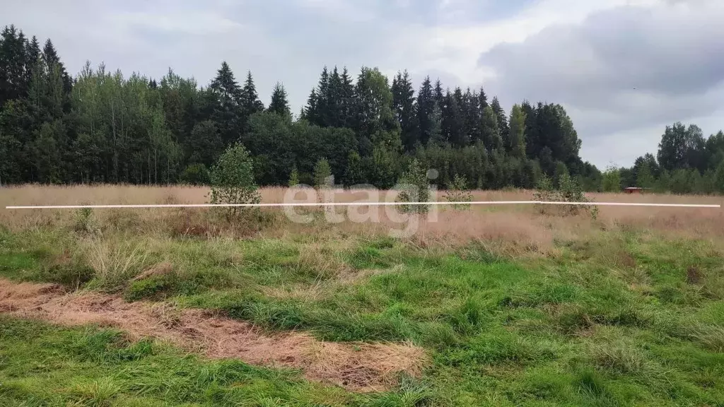 Участок в Вологодская область, Череповецкий район, Судское с/пос  ... - Фото 1