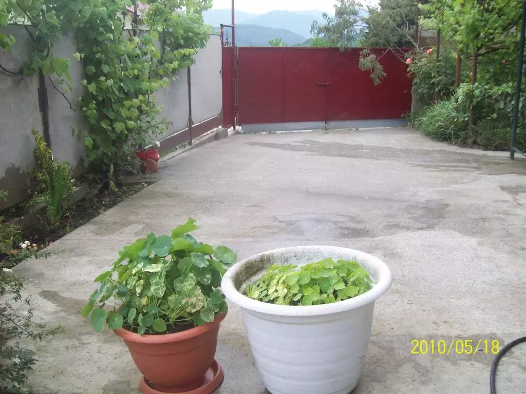 Дом в Краснодарский край, Сочи городской округ, Дагомыс пгт  (80 м) - Фото 2