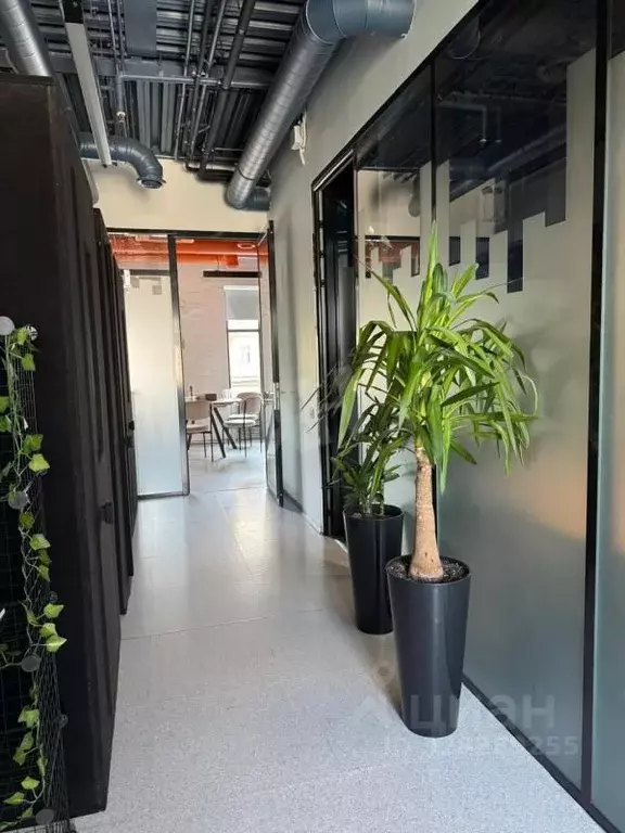 Помещение свободного назначения в Москва просп. Мира, 40 (378 м) - Фото 2