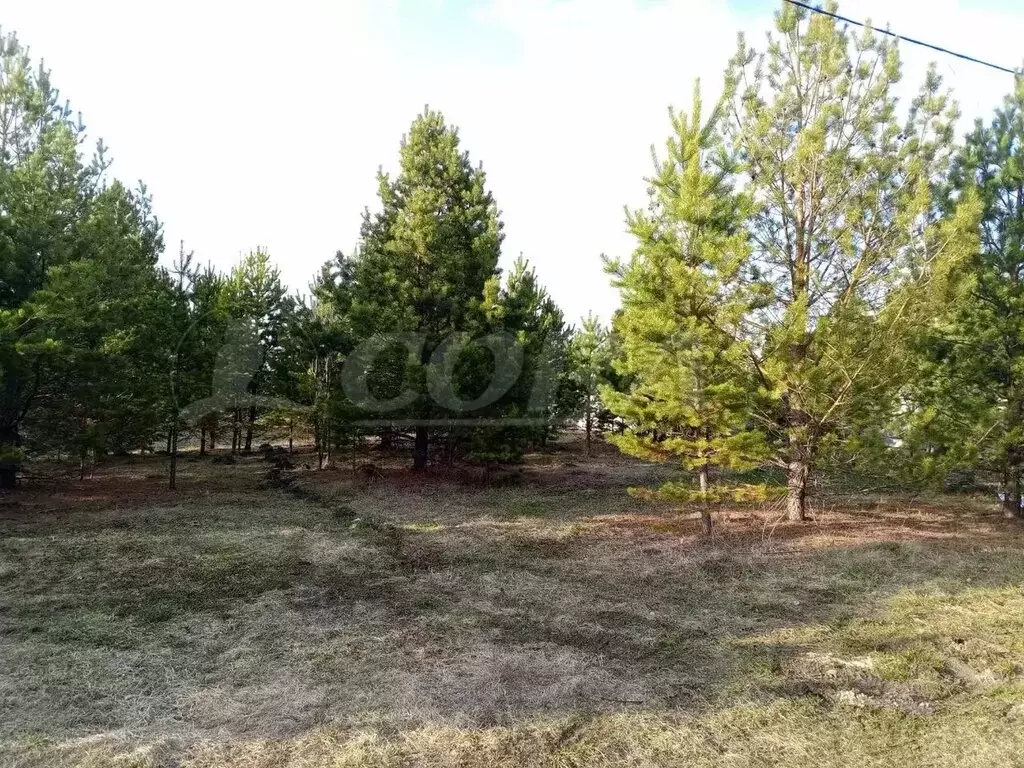 Участок в Тюменский район, деревня Елань (15 м) - Фото 1