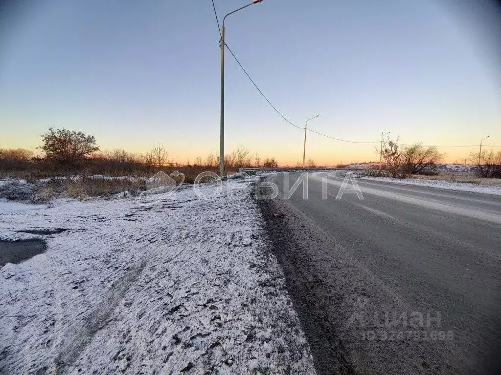 Участок в Тюменская область, Тюмень  (104.8 сот.) - Фото 2