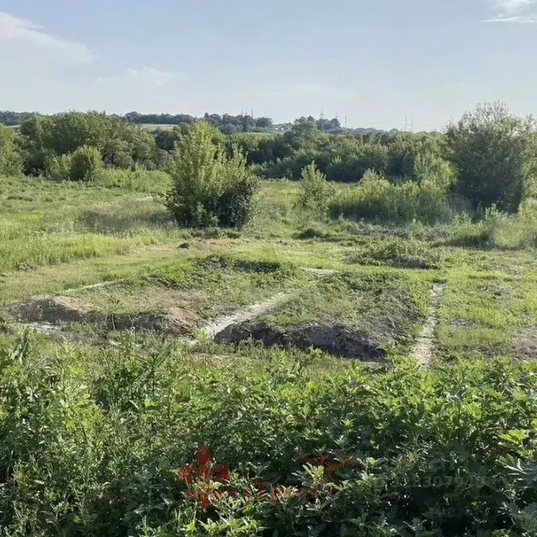 Участок в Белгородская область, Белгородский муниципальный округ, с. ... - Фото 2