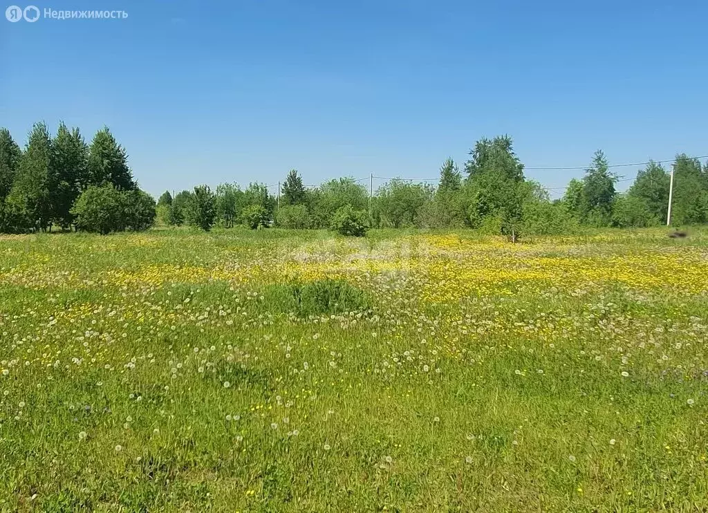 Участок в Кемерово, улица Святой Источник (10.17 м) - Фото 2