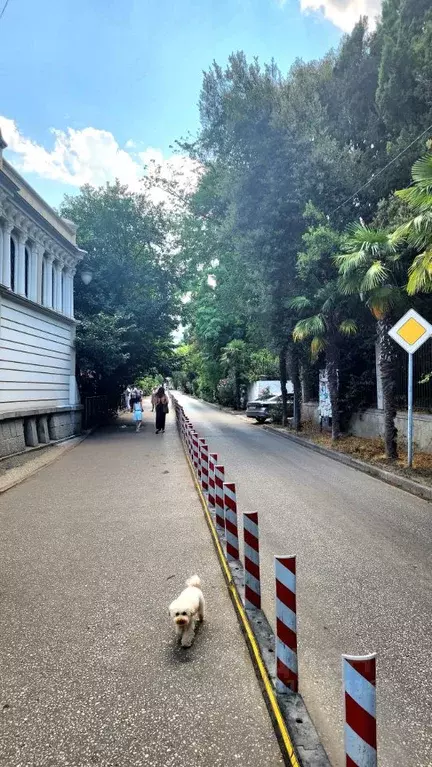 1-к кв. Крым, Ялта ул. Чехова, 17 (30.1 м) - Фото 1