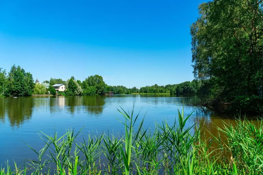 Участок в Московская область, Богородский городской округ, д. Мишуково ... - Фото 1
