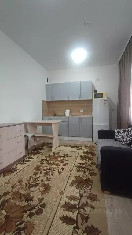Студия Санкт-Петербург ул. Чарушинская, 22к1 (22.0 м) - Фото 1