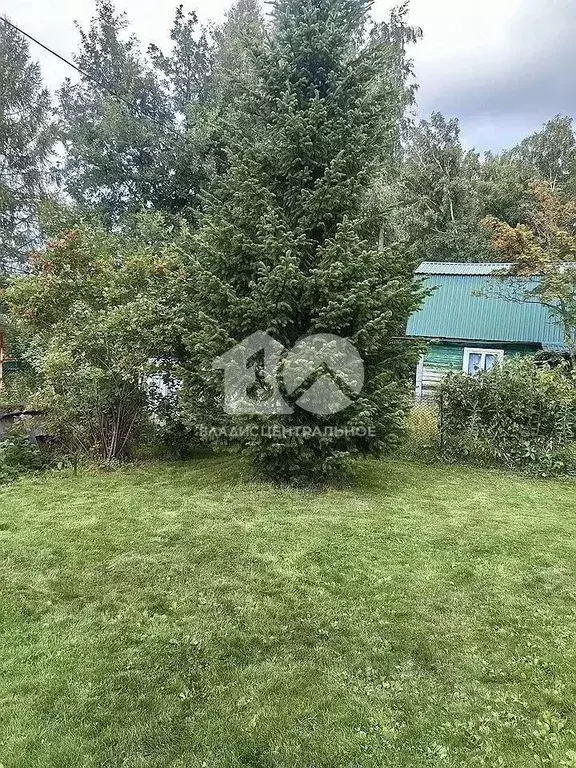 Дом в Новосибирская область, Новосибирск Конструктор СНТ, 278 (32 м) - Фото 0