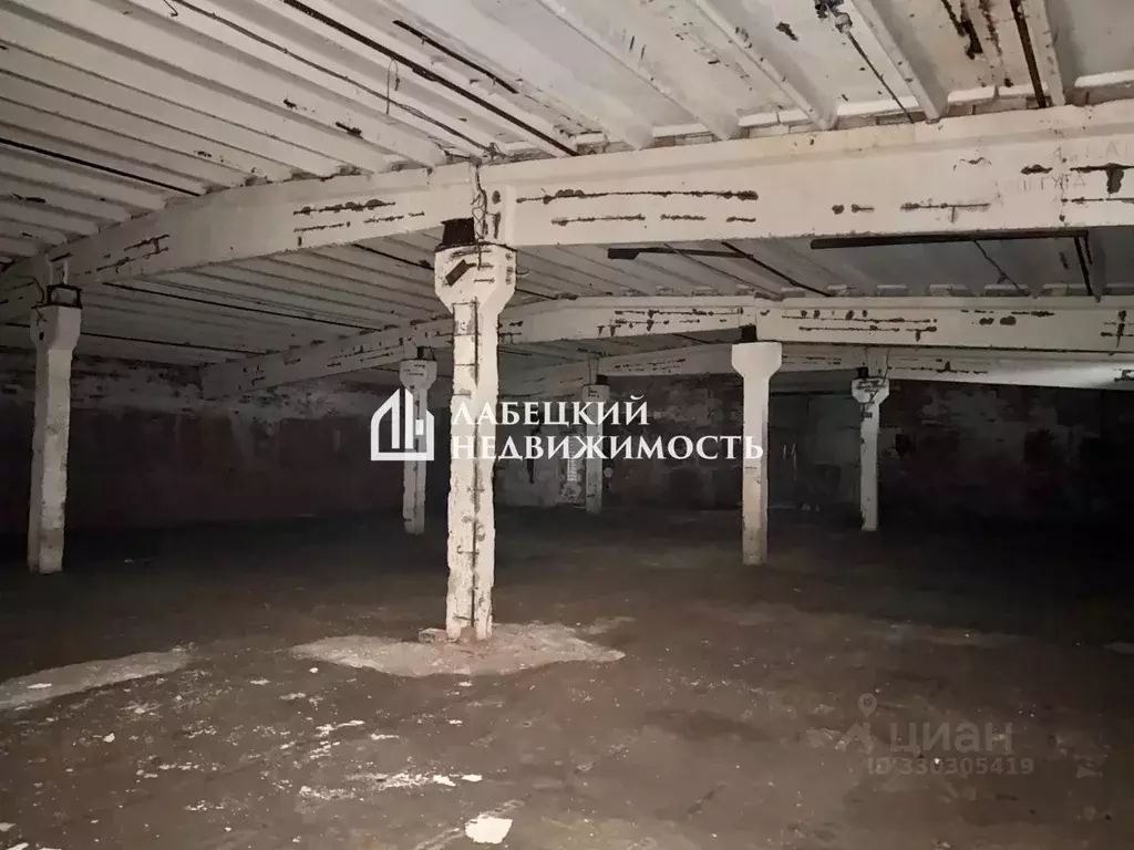 Помещение свободного назначения в Ленинградская область, Волосовский ... - Фото 2