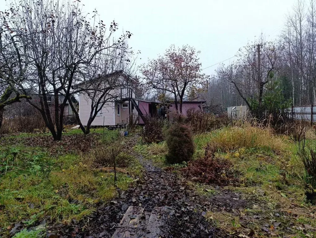 Участок в Ленинградская область, Лужский район, Мшинское с/пос, ... - Фото 2