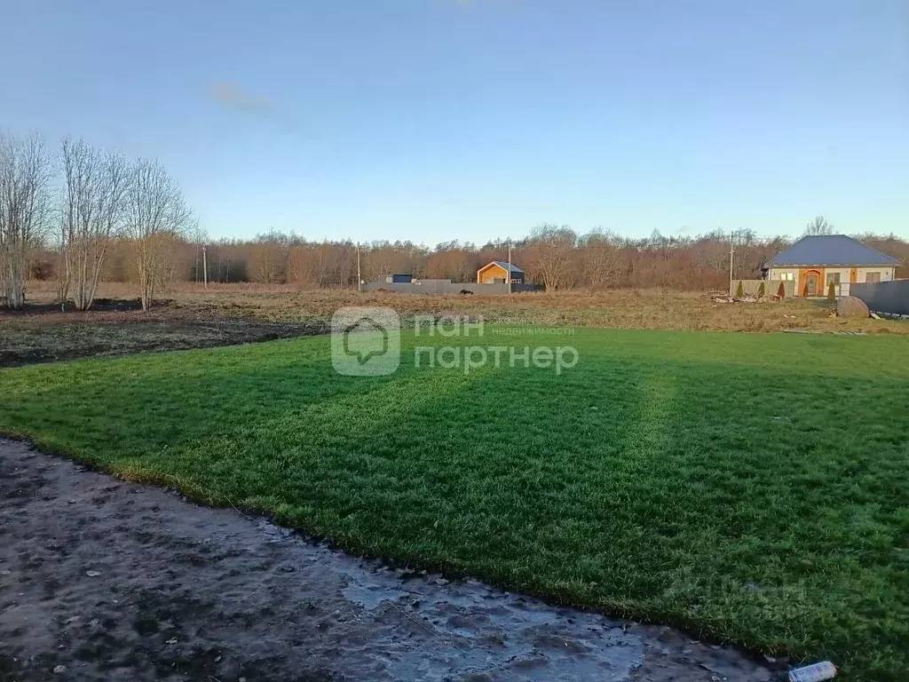 Участок в Ленинградская область, Ломоносовский район, Ропшинское ... - Фото 0