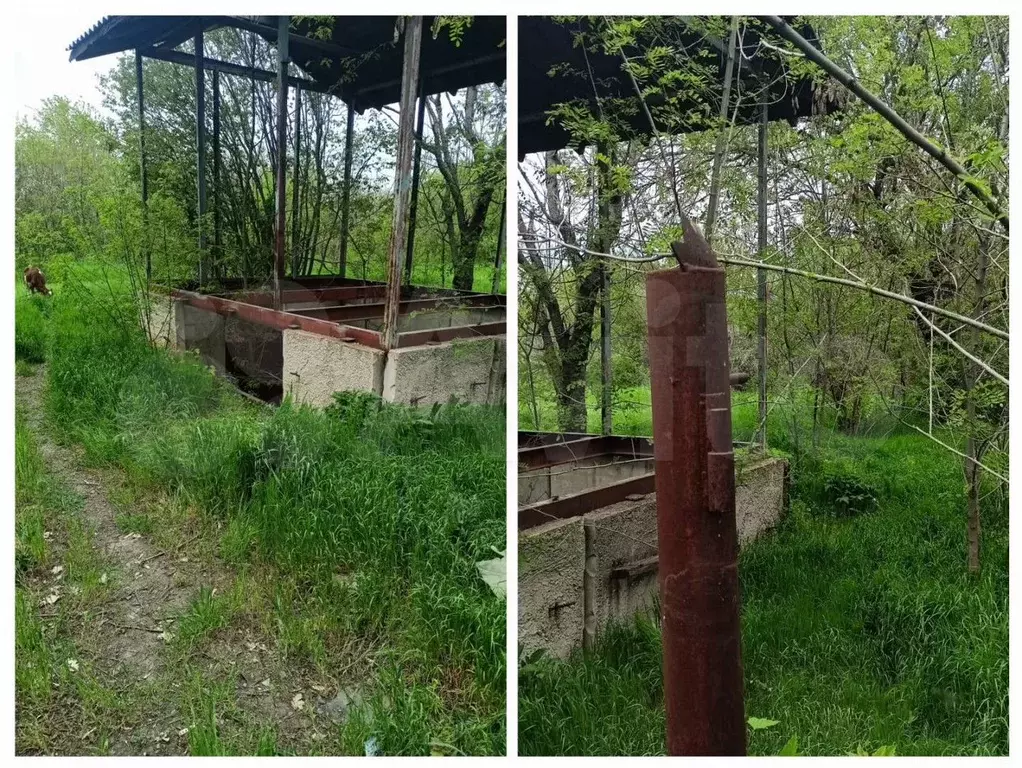 Участок 7 сот. (СНТ, ДНП) - Фото 0