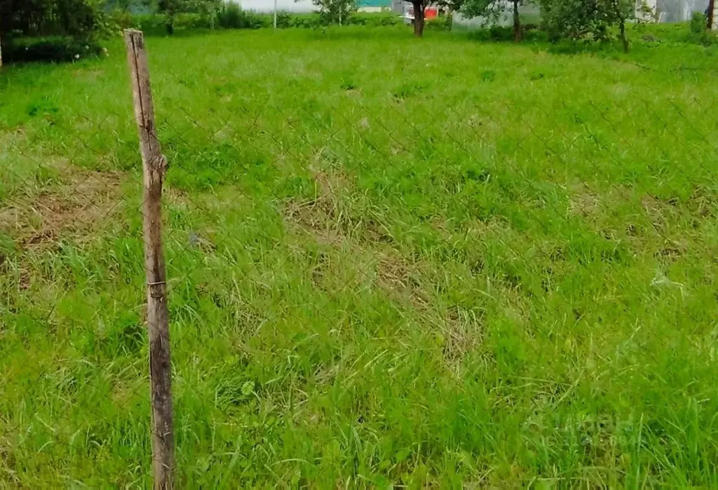 Дом в Орловская область, Орел  (20 м) - Фото 0