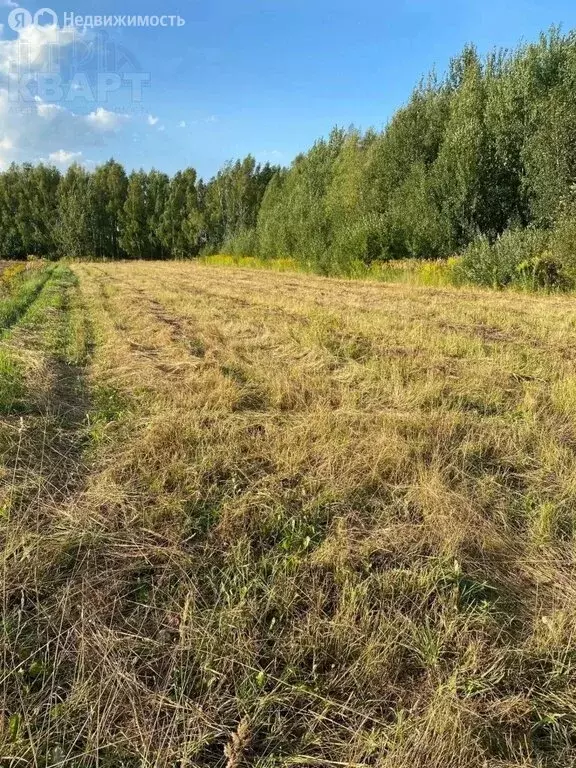 Участок в Нижегородская область, Городецкий муниципальный округ, ... - Фото 2