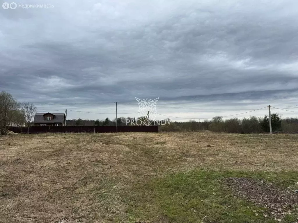 Участок в Московская область, городской округ Пушкинский, село ... - Фото 0