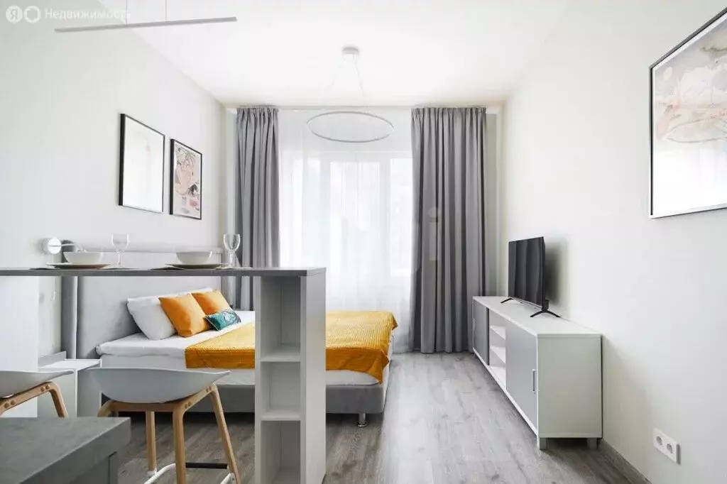 Квартира-студия: Санкт-Петербург, Витебский проспект, 99к1 (25.1 м) - Фото 2