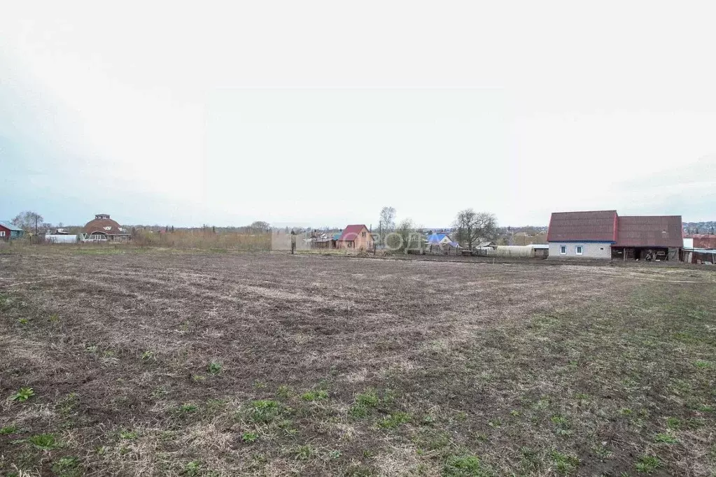 Участок в Алтайский край, Барнаул муниципальное образование, пос. ... - Фото 0