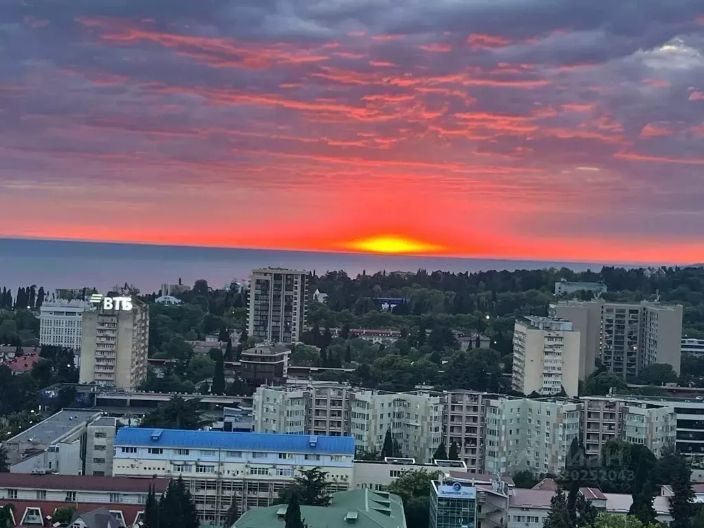 Студия Краснодарский край, Сочи Виноградная ул., 22/1 (32.0 м) - Фото 0