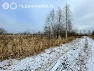 Участок в Тюменская область, Нижнетавдинский муниципальный округ, СНТ ... - Фото 2