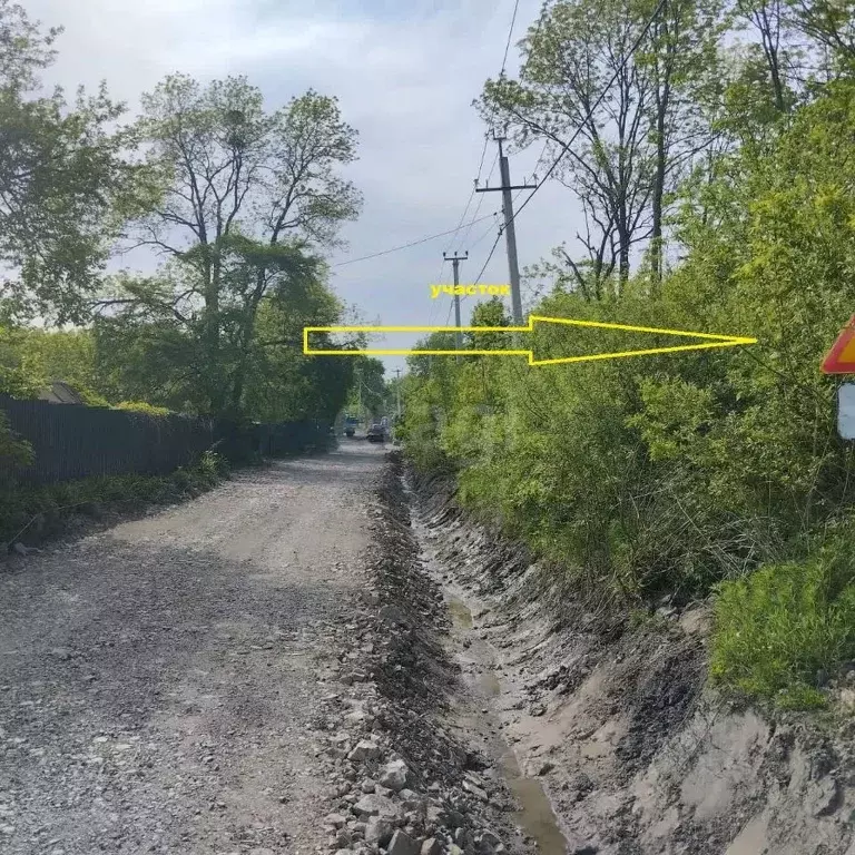 Участок в Приморский край, Артемовский городской округ, с. Суражевка ... - Фото 0