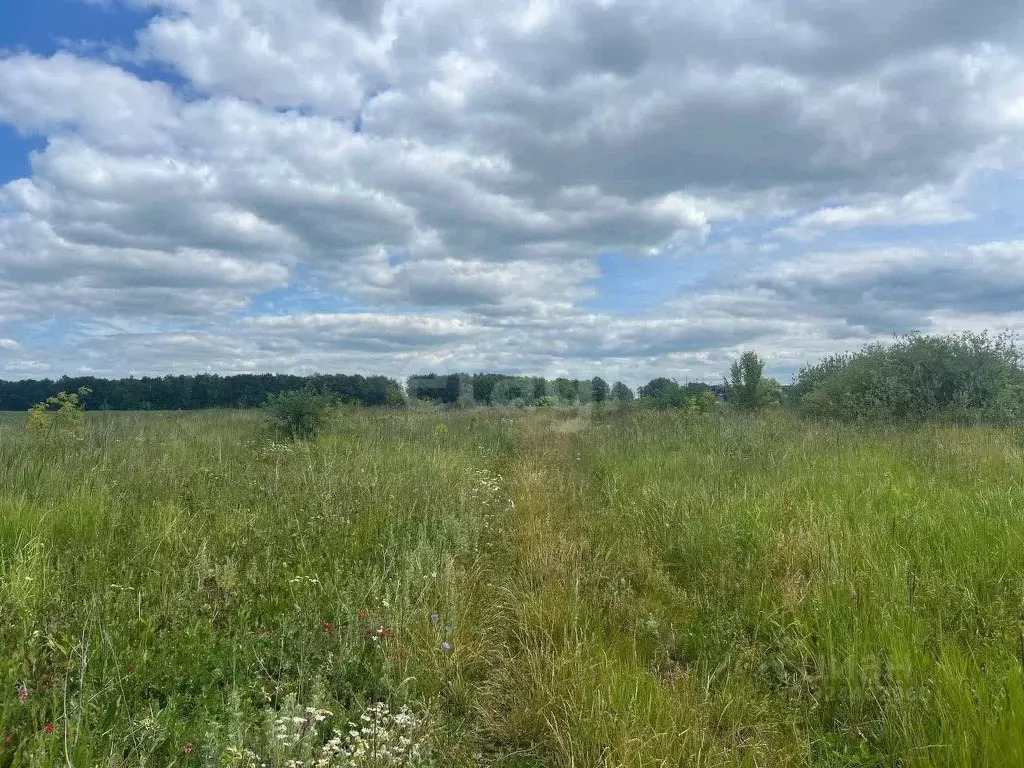 Участок в Мордовия, Рузаевский район, пос. Левженский  (11.0 сот.) - Фото 2