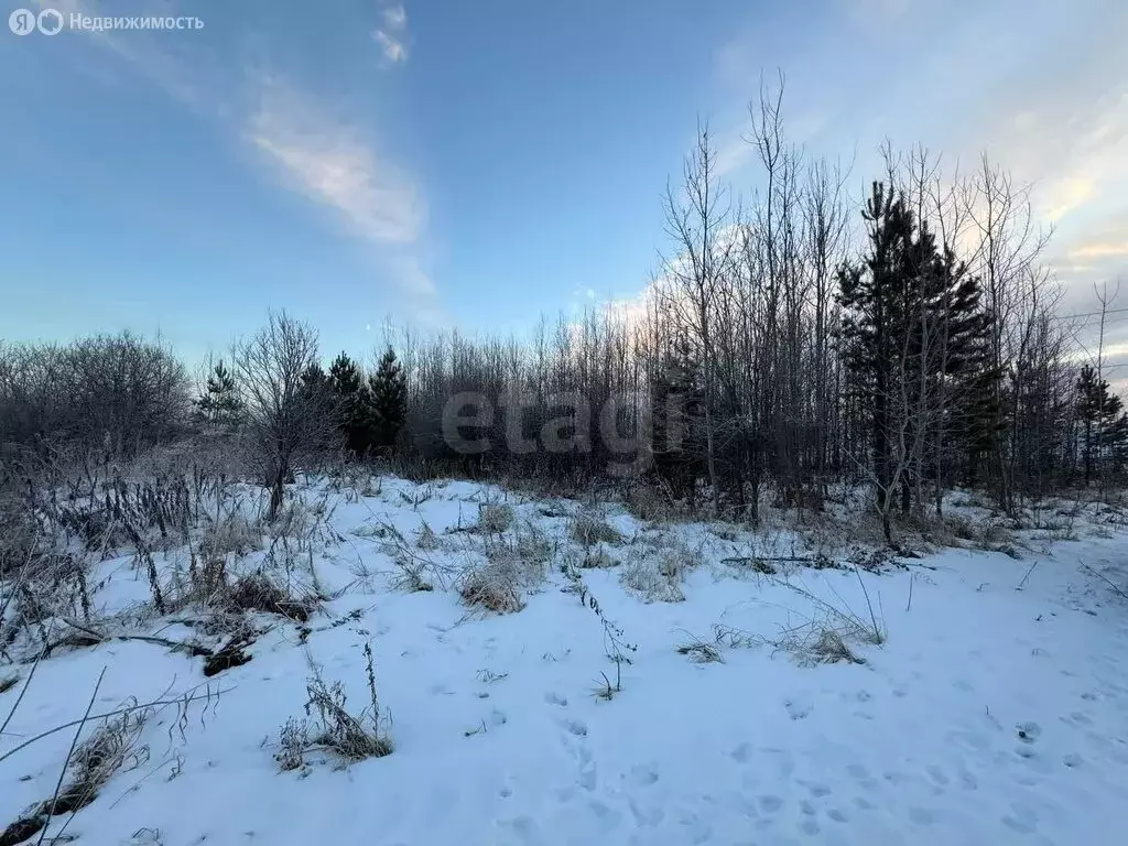 Участок в Нижнетавдинский район, СТ Здоровье-3 (8 м) - Фото 0