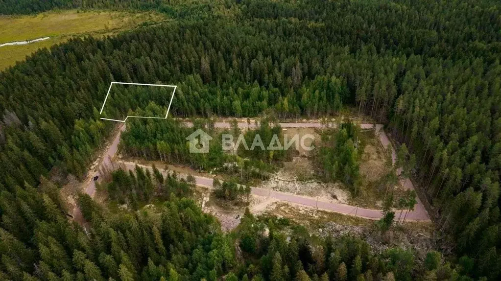 Участок в Ленинградская область, Выборгский район, Рощино городской ... - Фото 1