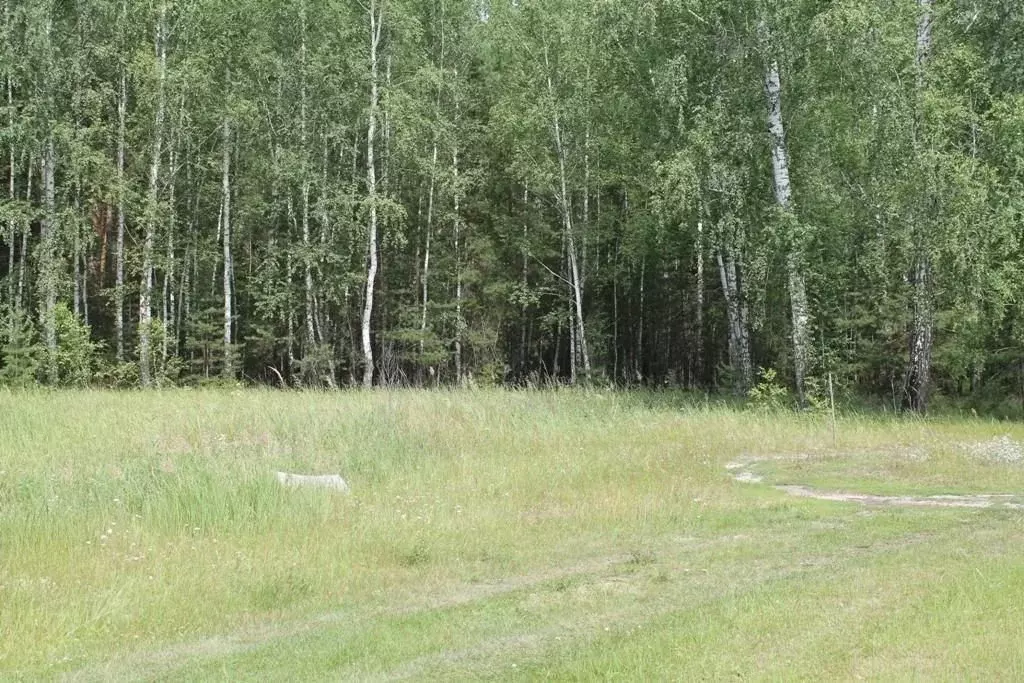 Участок в Курганская область, Кетовский муниципальный округ, пос. ... - Фото 0