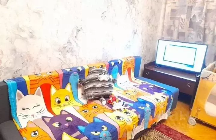 Комната Москва Щелковское ш., 77К1 (20.0 м) - Фото 1