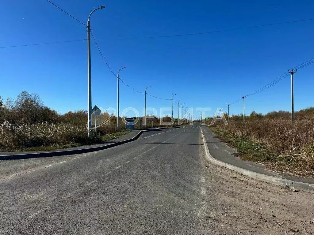 Участок в Тюменская область, Тюмень Царево садовое товарищество, ул. ... - Фото 1