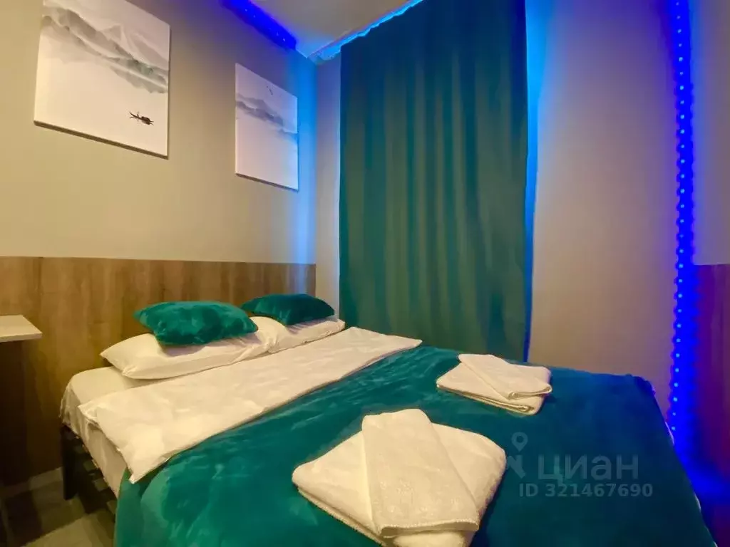 1-к кв. Санкт-Петербург Гончарная ул., 17 (15.0 м) - Фото 1