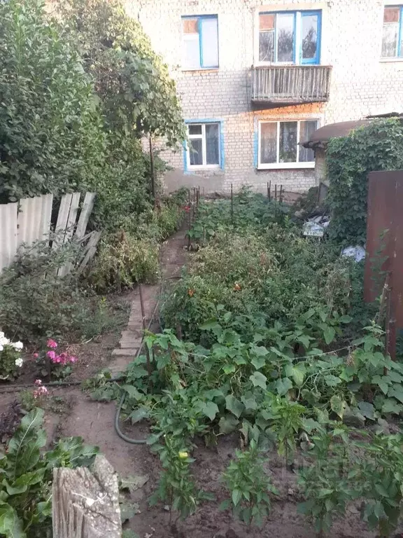 3-к кв. Саратовская область, Энгельс муниципальное образование, ... - Фото 0